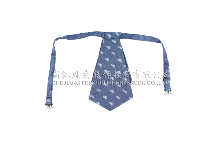 南方電網(wǎng) 領花